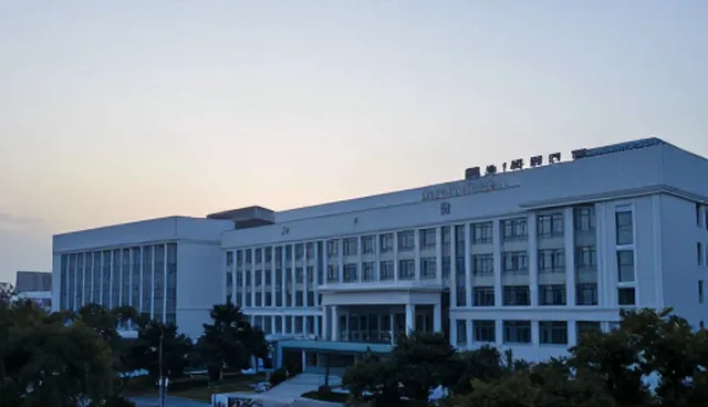 如何通过市场调研提升服务优化的精准度